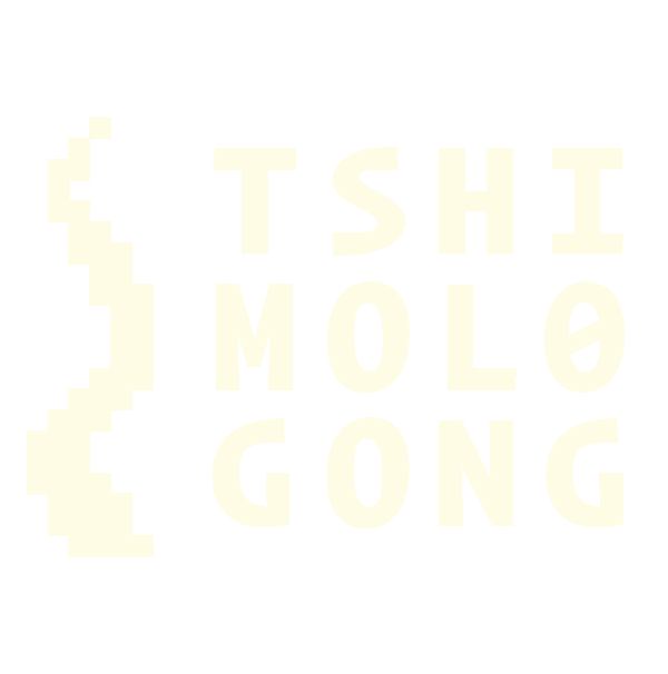 Tshimologong Presinct
